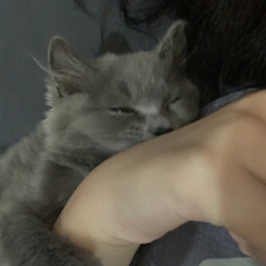 li anh