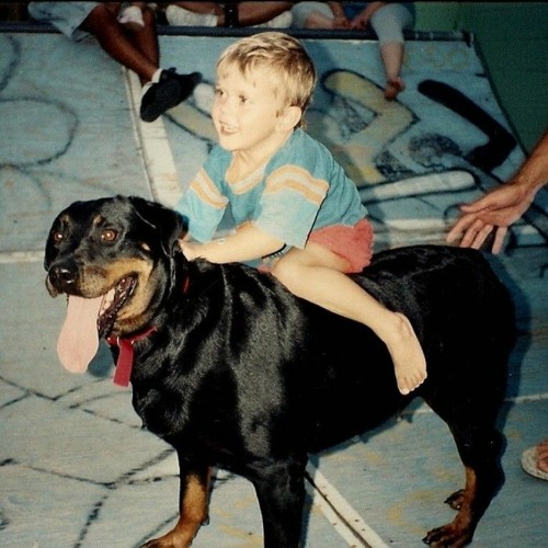 What Does It Mean When A Dog Chuffs