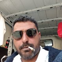 רועי לוי