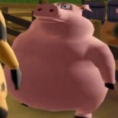 0000 0000