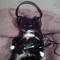 catbugnat