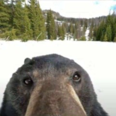 Chloee Raffensperger