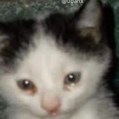 kurumo