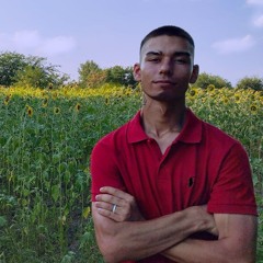 denis.vdoven
