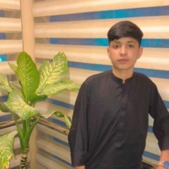 Muhammad Zahir