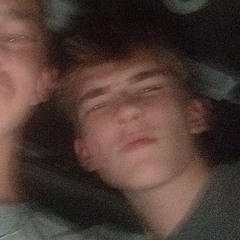 TERRAY