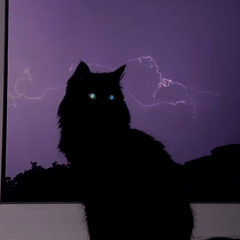 🌙
