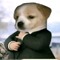 feLipZGoat