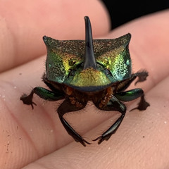 shatter__the___concept