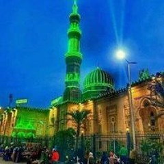 مصطفى هداج