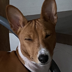 Кирюха Астероид