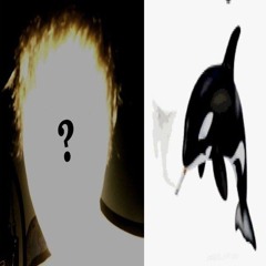 🏴‍☠️?¿