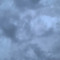 Wildy