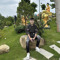 Nguyễn Thế Anh