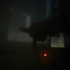 ytkin pro