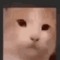 TCube