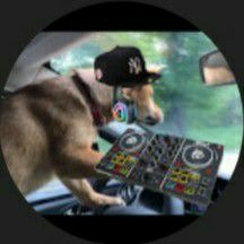 DJ mlemy ✔’s avatar