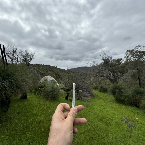 aussie rap