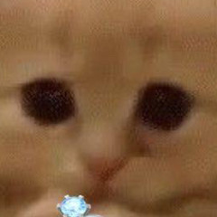 ㅅㅎ