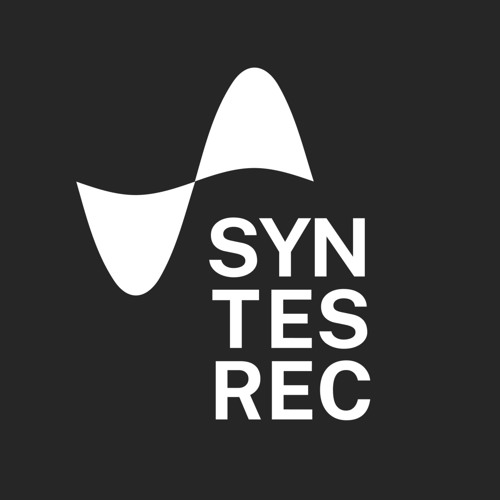 Syntes Records’s avatar