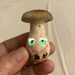 Melibond 64