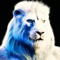 MerkzDude_Level_7