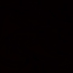 HaloSPAM Music [rebranded.]