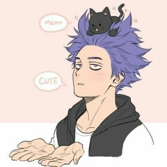 < Shinsou > ( online/ offline )