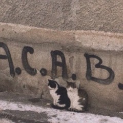 rozrada