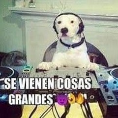 SHITPOST MUSICAL
