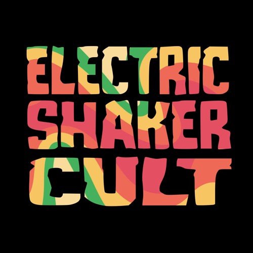 Electric Shaker Cult artist photo