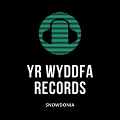 Yr Wyddfa Records