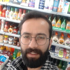 alisaalizadeh