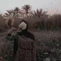 امل بكره
