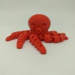 Dirty Octopus
