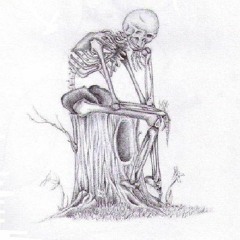 perpetualponder