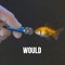 would
