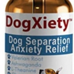 Dogxiety