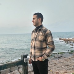 Mahmoud Abd Elmotaleb