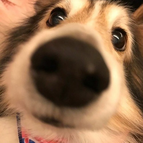 Pub Bar Music - Set Nhạc bay vui vẻ NĐH