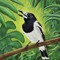 james_s57