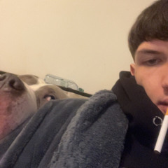 Dom