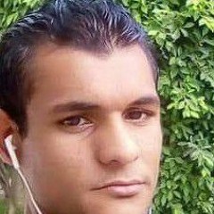 الصمت لغة العظماء