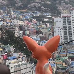 kiki