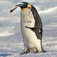 pingouin