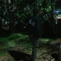 wvst