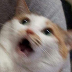 𝔹𝕝𝕦𝕖 𝕟𝕚𝕘𝕙𝕥