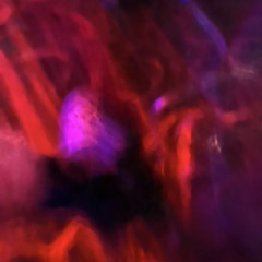 YvngxExotic