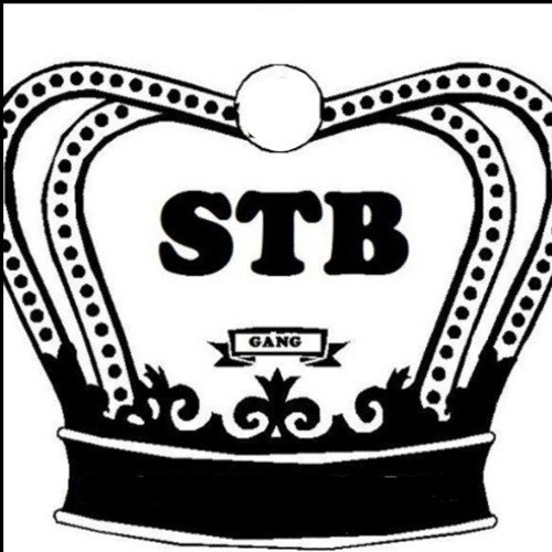 Stb Gang 🇯🇴👑’s avatar