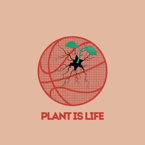 Plant1’s avatar